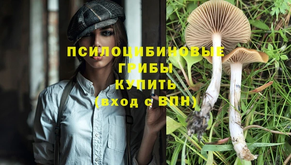 марки nbome Арсеньев