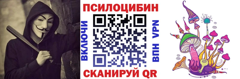 продажа наркотиков МЕГА сайт Псилоцибиновые грибы ЛСД Полевской